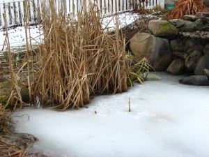 IMG_2055