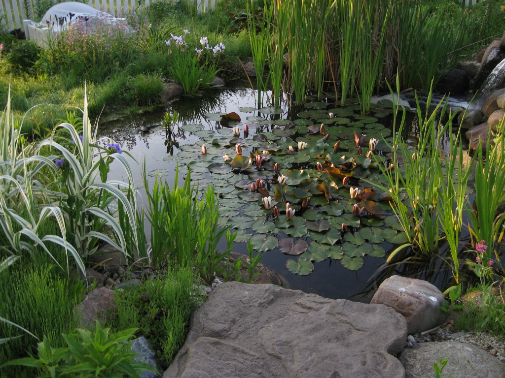 IMG_4491