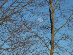 IMG_1901