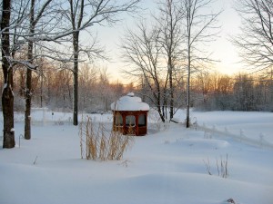 IMG_3340