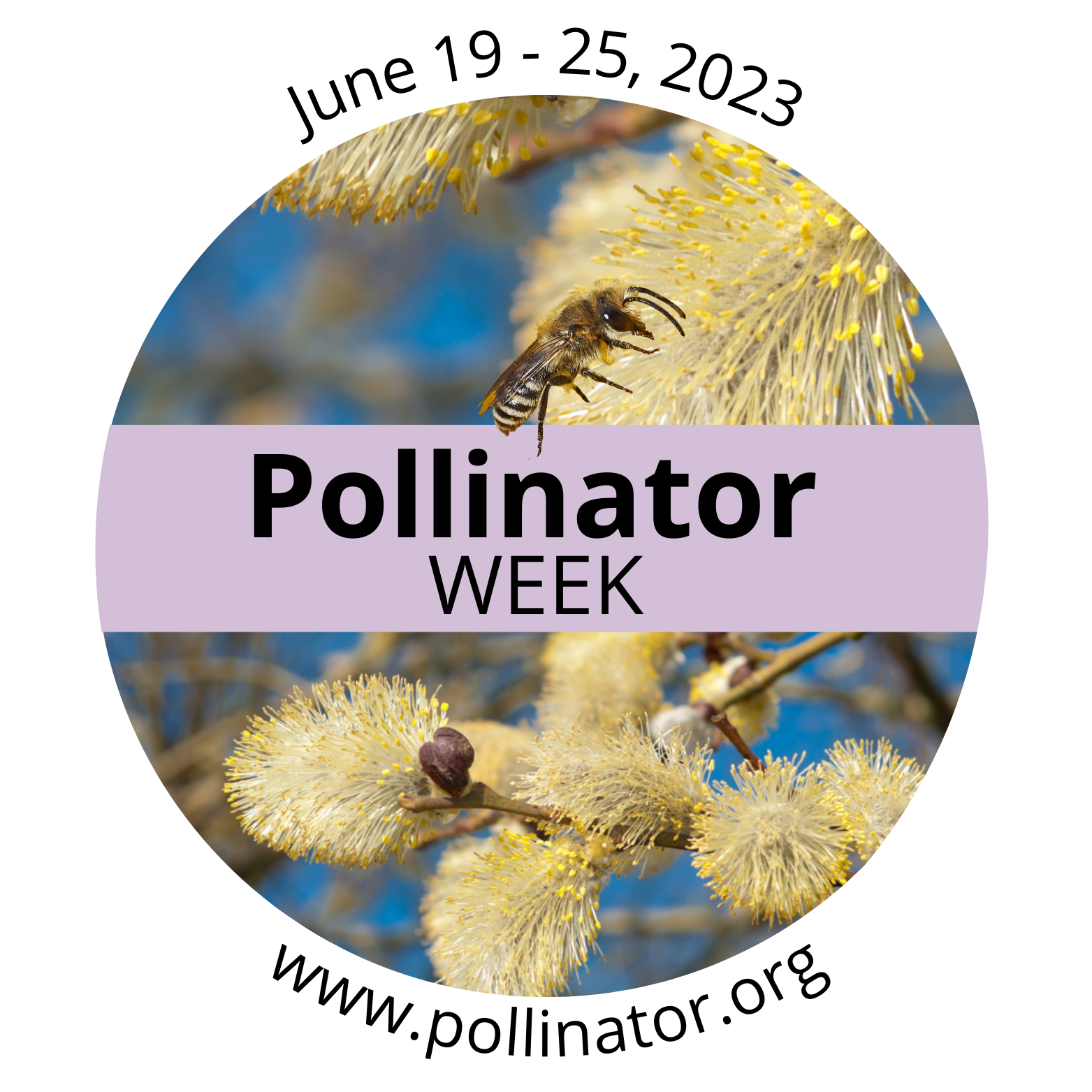 Pollinator-Week-Logo-2023 – Gardens Eye View